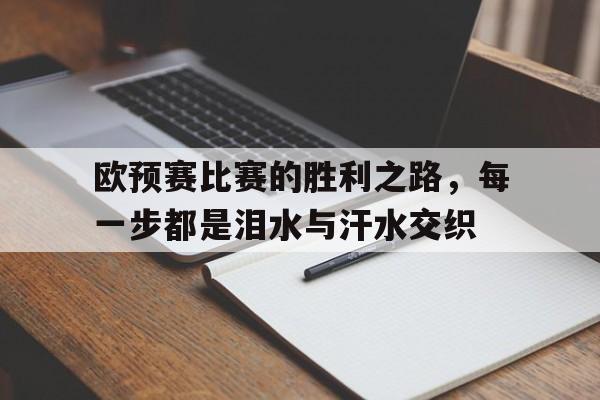 IM电竞下载官方版-欧预赛比赛的胜利之路，每一步都是泪水与汗水交织